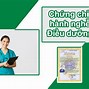 Chứng Chỉ Hành Nghề Y Do Ai Cấp