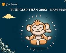 Tử Vi Tuổi Giáp Thân Nam Mạng Sinh Năm 2004